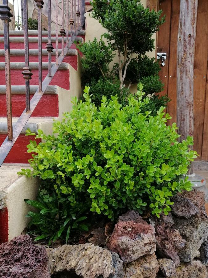 Hotel Posada El Camino Chignahuapan Εξωτερικό φωτογραφία
